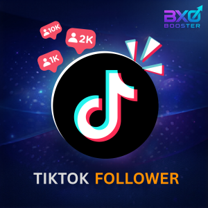 Buy TikTok Followers Growth Package | TikTok Audience Growth Service